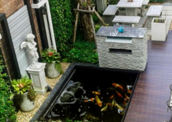Những mẫu thiết kế hồ cá Koi được yêu thích nhất hiện nay