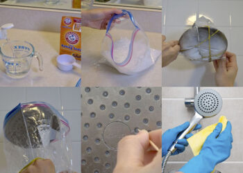 Cach-ve-sinh-voi-hoa-sen-dung-cach-chuan-nhat