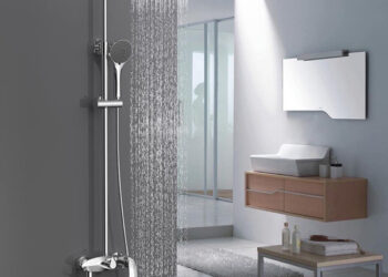 Bat-mi-cach-chon-sen-tam-cay-tot-nhat-khong-phai-ai-cung-biet