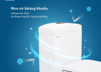 mau-bon-cau-re-nhat-thi-truong